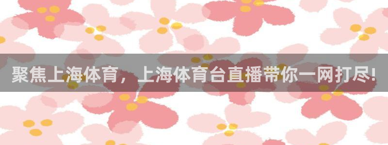 178体育直播体育：聚焦上海体育，上海体育台直播带你一网打尽!