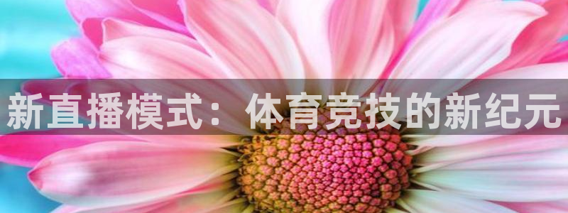 178直播nba体育：新直播模式：体育竞技的新纪元