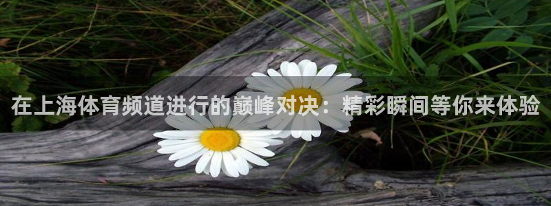 178足球篮球直播：在上海体育频道进行的巅峰对决：精彩瞬间等你来体验
