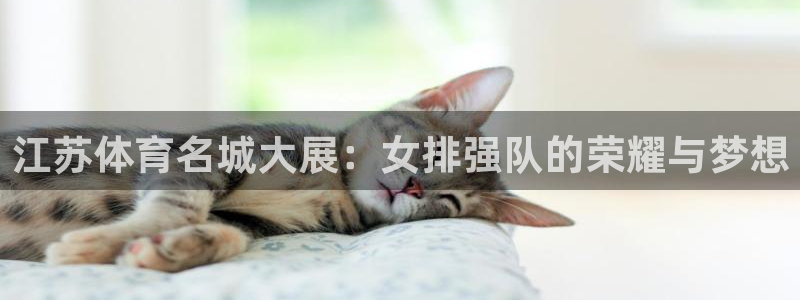 178直播足球直播：江苏体育名城大展：女排强队的荣耀与梦想