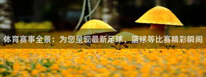 178直播体育赛事直播：体育赛事全景：为您呈现最新足球、篮球等比赛精彩瞬间