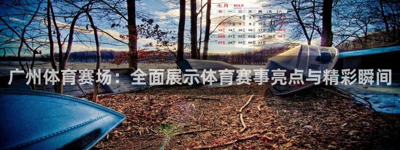 nba直播免费观看直播在线178：广州体育赛场：全面展示体育赛事亮点与精彩瞬间
