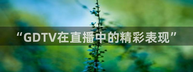 178足球直播高清在线直播：“GDTV在直播中的精彩表现”