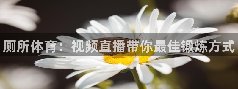178zb2直播体育下载：厕所体育：视频直播带你最佳锻炼方式