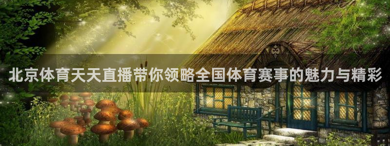 下载178体育赛事直播app：北京体育天天直播带你领略全国体育赛事的魅力与精彩