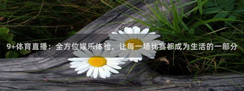 178体育直播nba：9+体育直播：全方位娱乐体验，让每一场比赛都成为生活的一部分