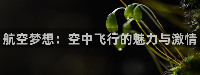 178体育直播间