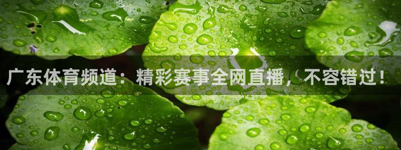 178免费足球直播