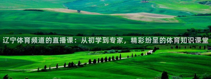 178体育赛事免费直播下载：辽宁体育频道的直播课：从初学到专家，精彩纷呈的体育知识课堂
